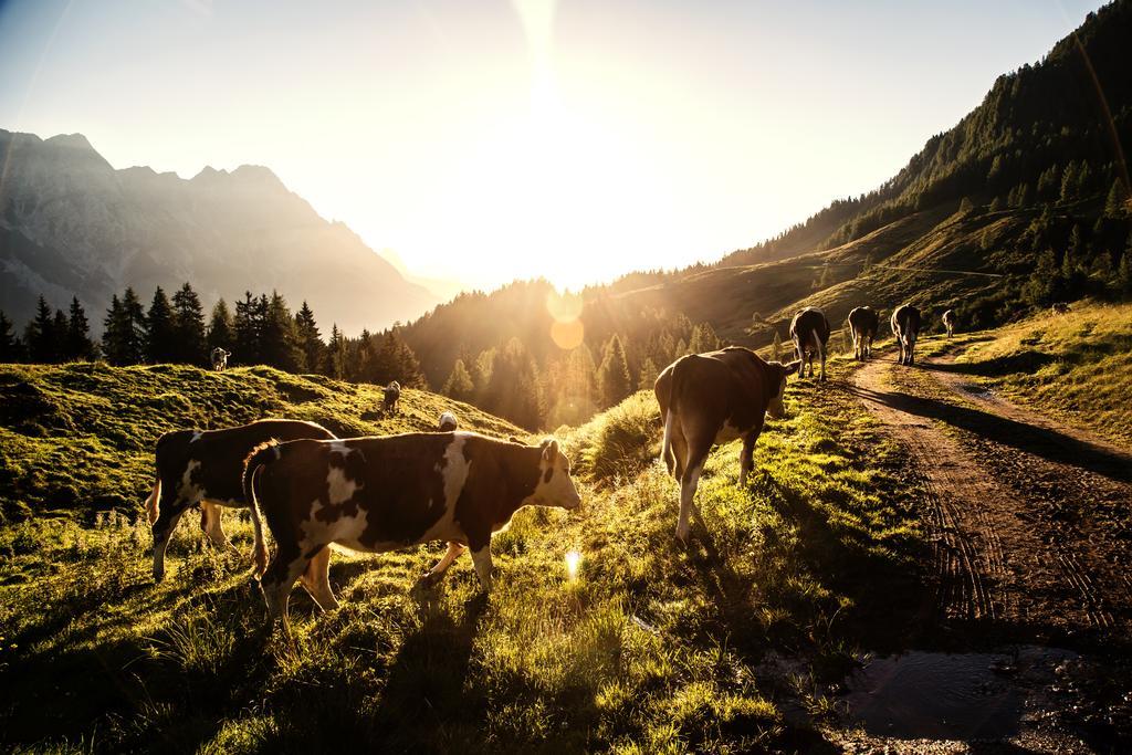 Alpin Lodge Leogang By Alpin Rentals Exterior foto